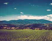 ddos在线压力测试平台